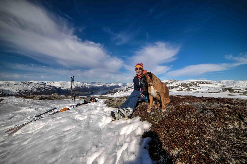 Jolstraholmen Camping Og Hytter Vassenden エクステリア 写真