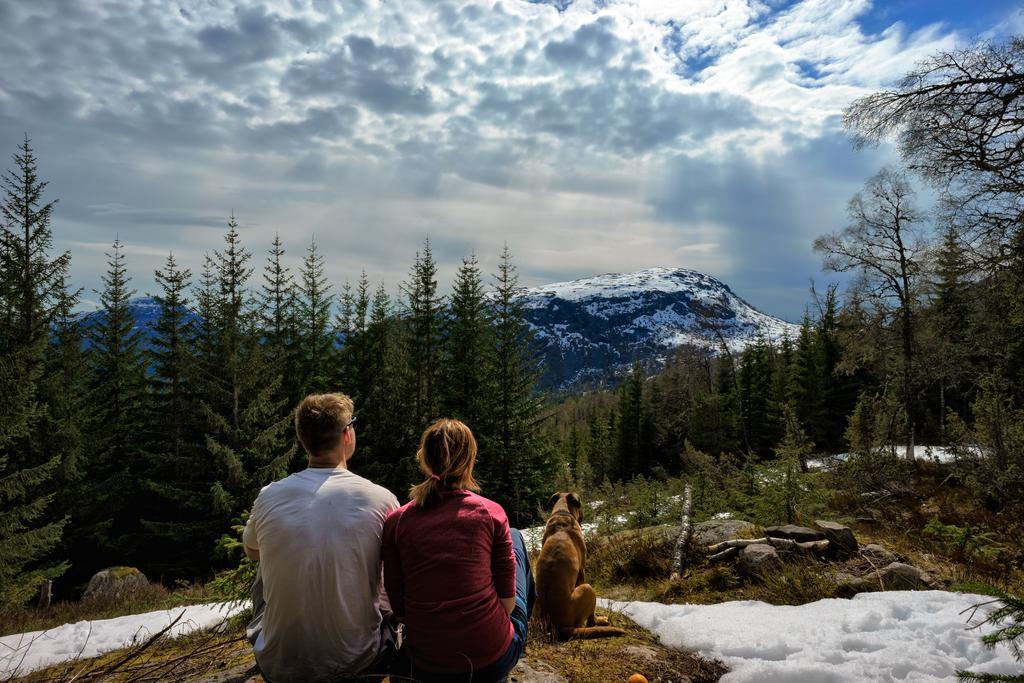 Jolstraholmen Camping Og Hytter Vassenden エクステリア 写真