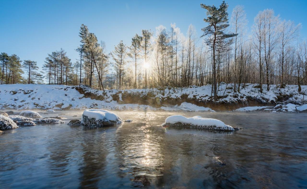 Jolstraholmen Camping Og Hytter Vassenden エクステリア 写真
